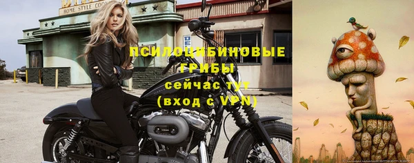 МДПВ Абдулино