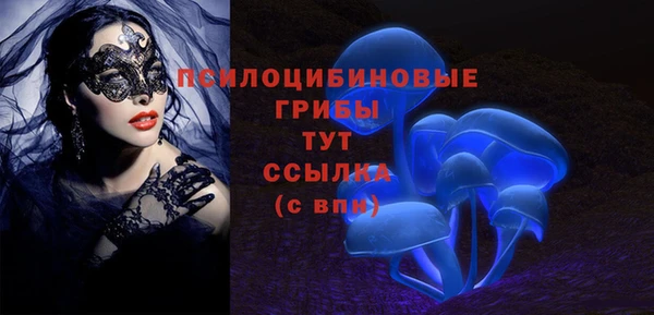 МДПВ Абдулино