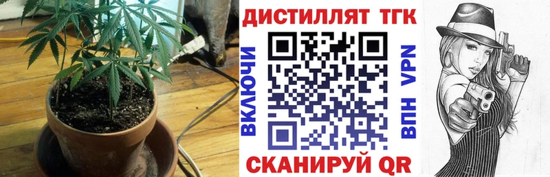 ТГК Wax  Избербаш 