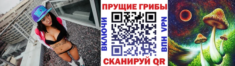 Галлюциногенные грибы Psilocybine cubensis Избербаш